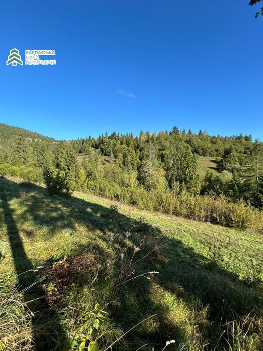 Земельна ділянка в гірському селі Нижній Студенний