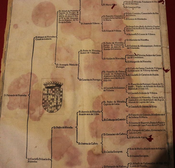 NORONHAS Condes de LINHARES árvore de costados, 1623