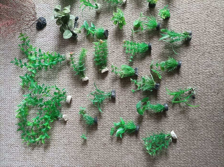 Sztuczne rośliny do akwarium