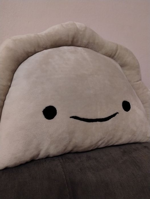 Poduszka pieróg handmade pieroguszka, Pieruszkaa