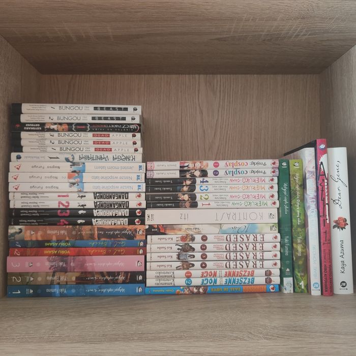 Sprzedam mangi widoczne na zdjęciu