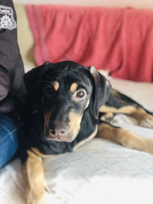 Mae & filho (URGENTE)