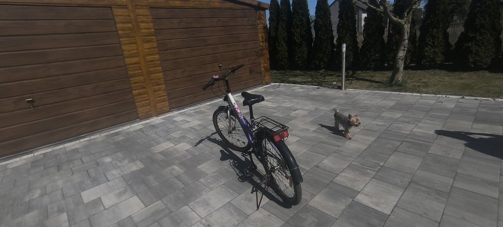 Rower dziecięcy dla dziewczynki.