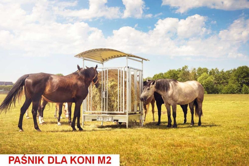 Paśnik dla bydła krów koni ocynkowany z dachem 8 lub 12 stanowisk