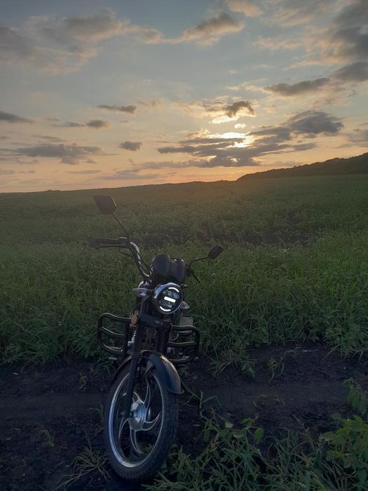 Мустанг альфа ..