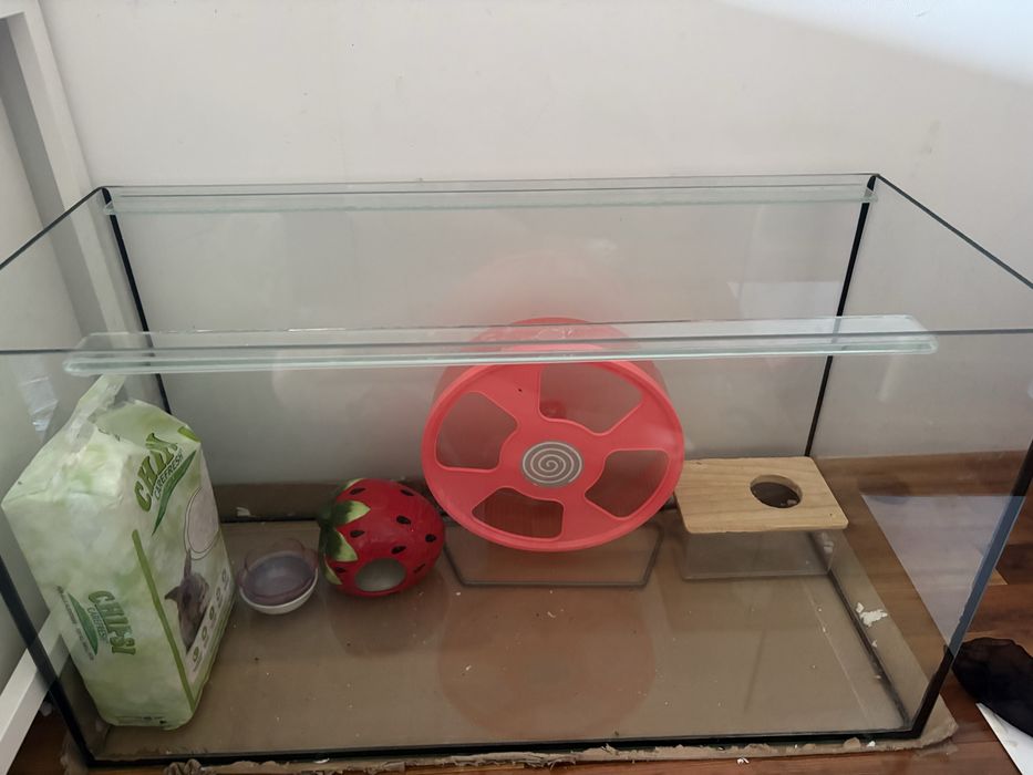 Akwarium 80 cm dlugosci i wyprawka dla chomika okazja