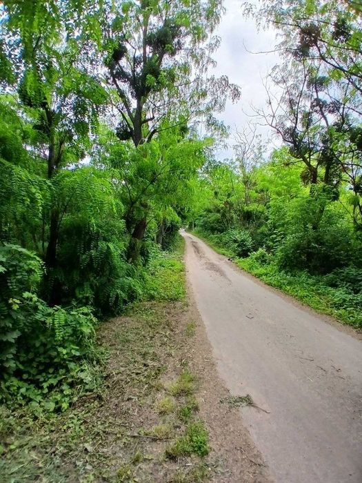 Продам ділянку з гарним краєвидом по вул. Гайдамацька, м. Обухів!
