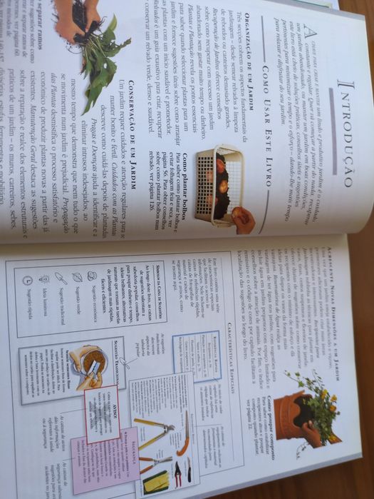 Jardinagem Conselhos e Sugestões de Pippa Greenwood