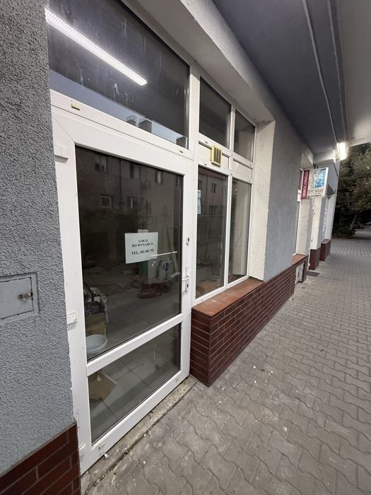 Lokal do wynajecia