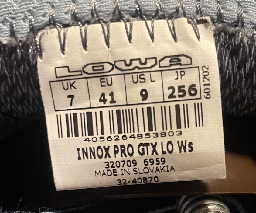 gorpcore Кроссовки Lowa Innox Pro Gore-tex x salomon