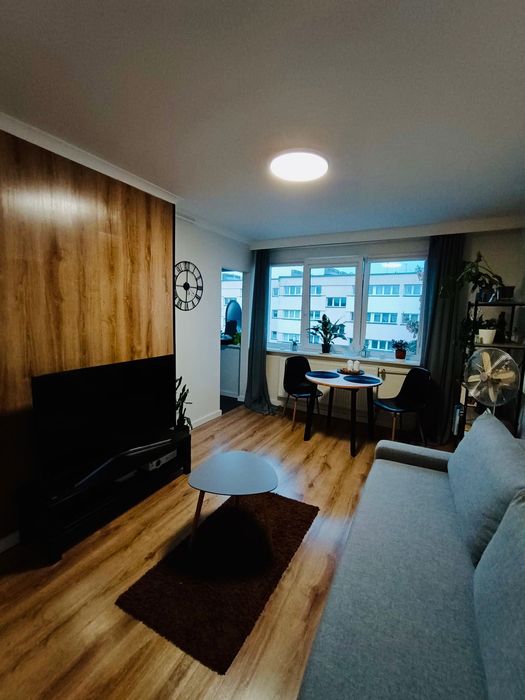 Kawalerka do wynajęcia! Od 1 LIPCA! Mała, nowa, wyposażona. W centrum Zielonej Góry