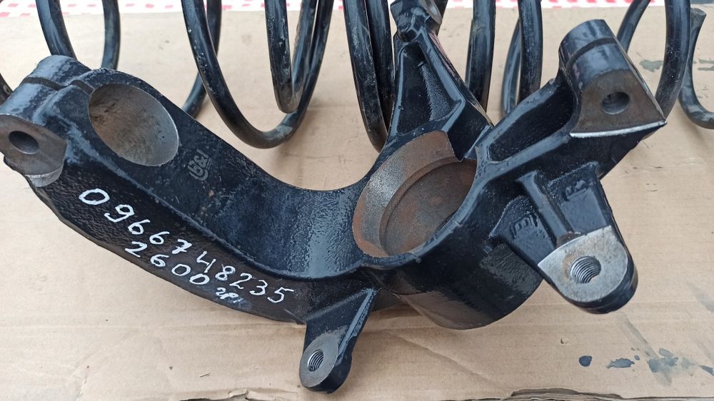 Цапфа до Reno scenik 2