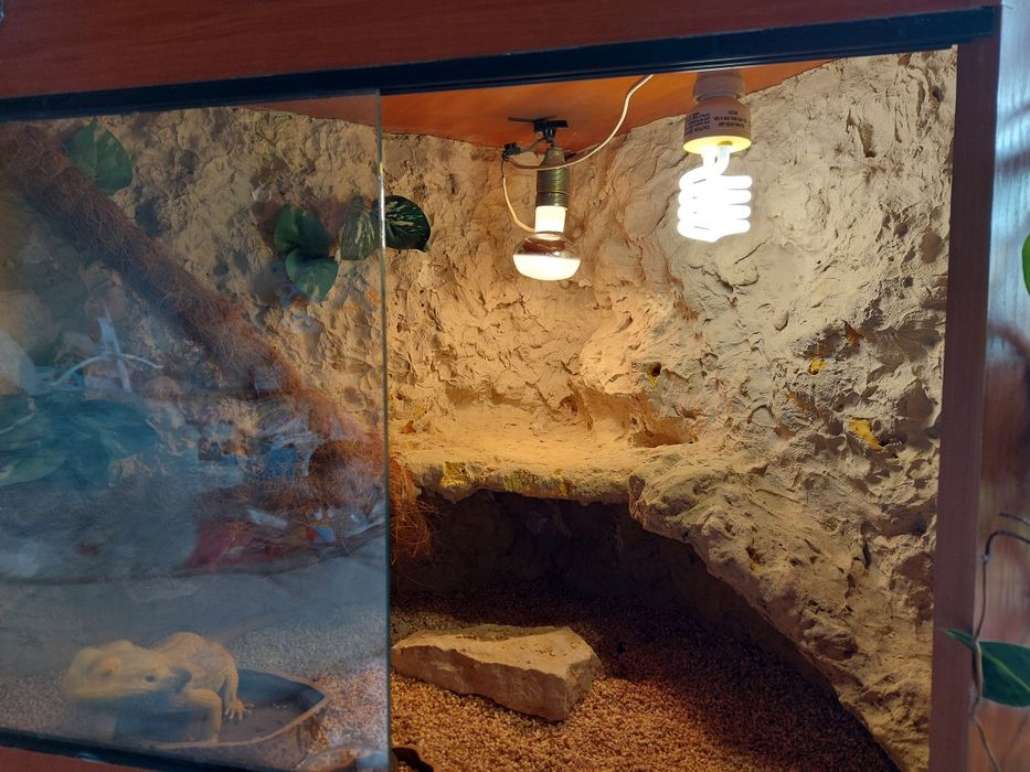 Terrarium narożne 70×70×100