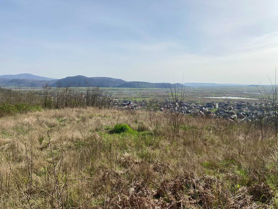 Земельна ділянка