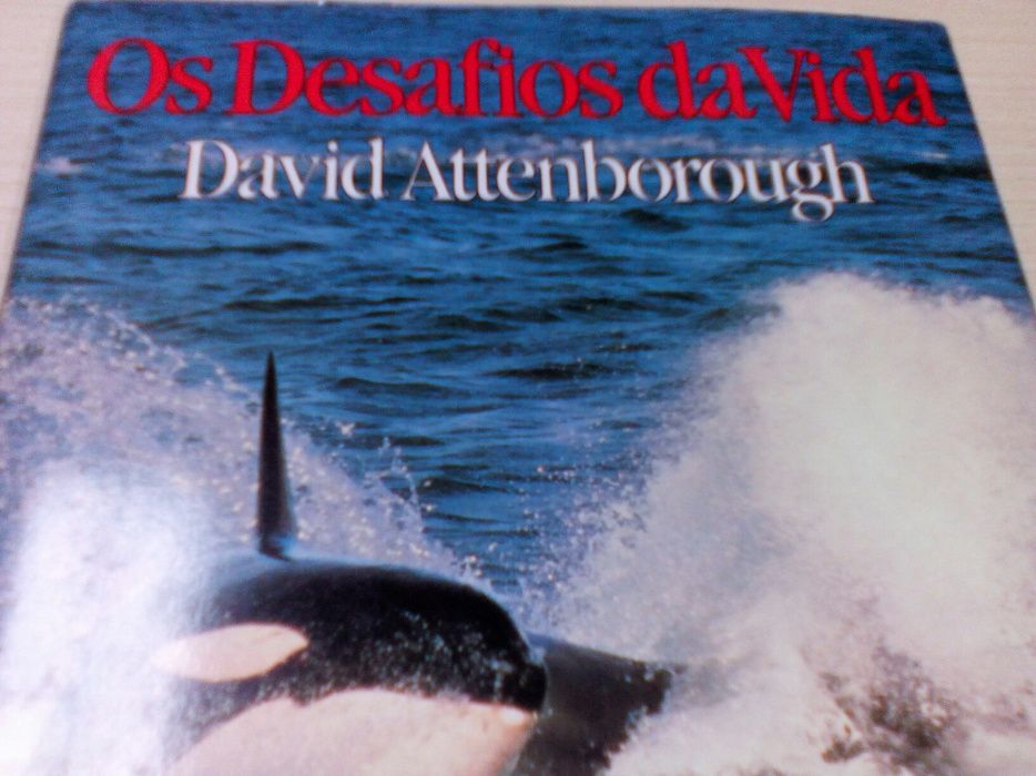 Os Desafios da Vida.