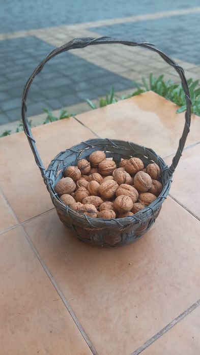 Orzechy włoskie koszyk 1kg