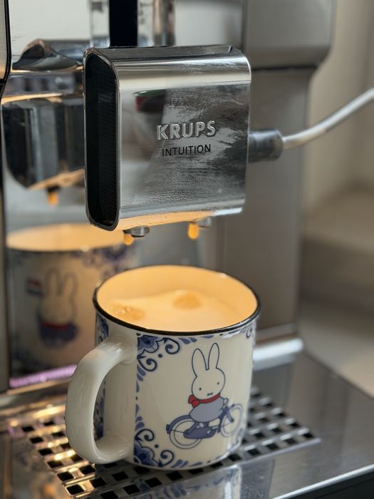 Ekspres Krups dużo programów kawa mrożona