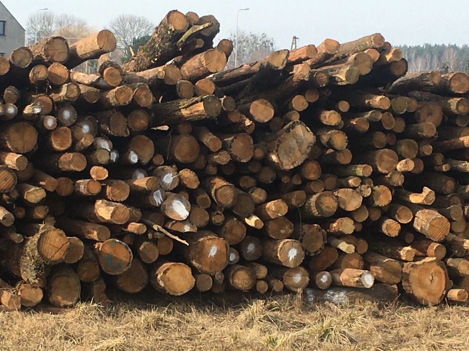Drewno Opałowe Kominkowe Sezonowane, BUK,DĄB,GRAB,SOSNA i inne