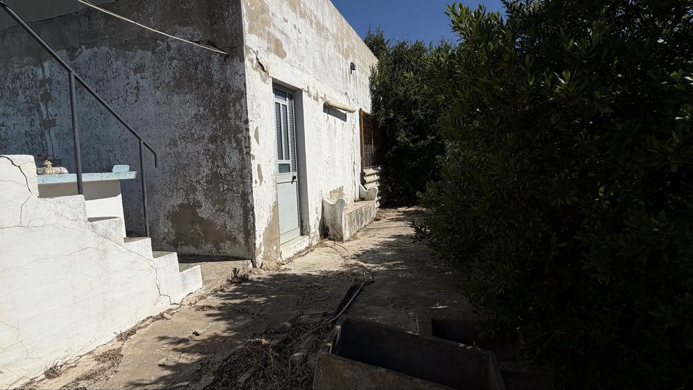 Terreno Rural com Potencial em Olhão