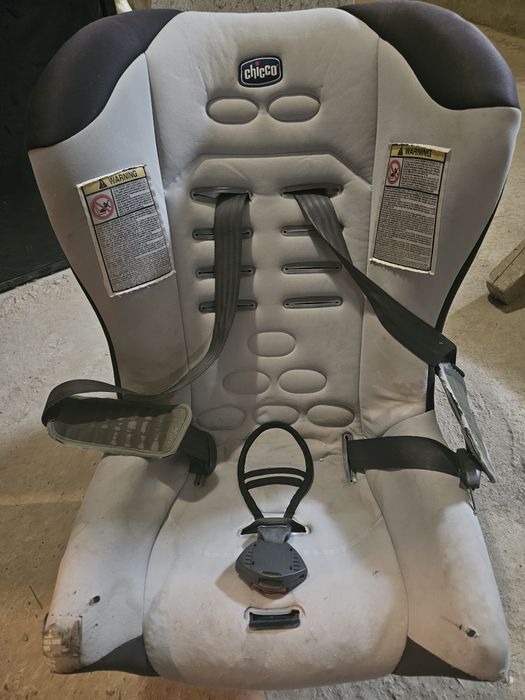 Стульчик Chico .