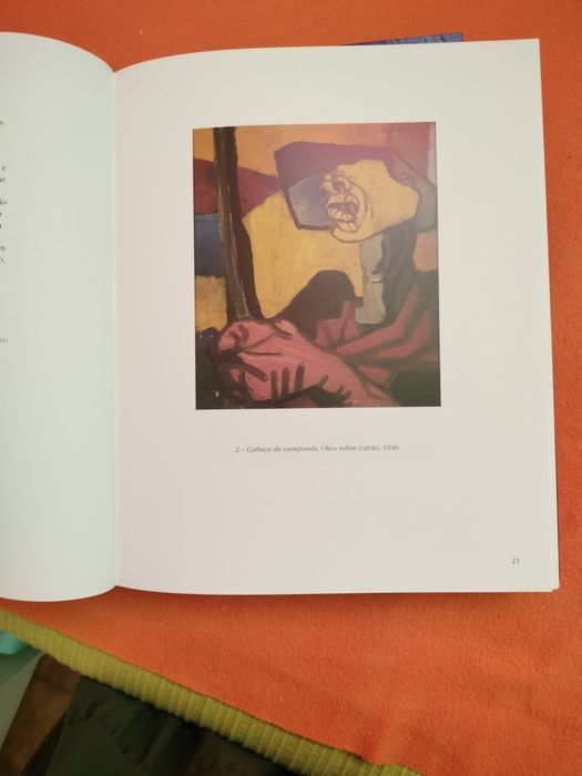 Livro 50 anos de pintura de Lima de Freitas