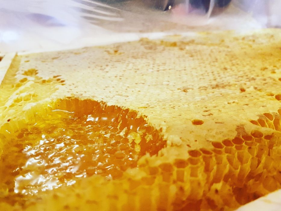 Miód z pasieki ekologicznej 1.3kg