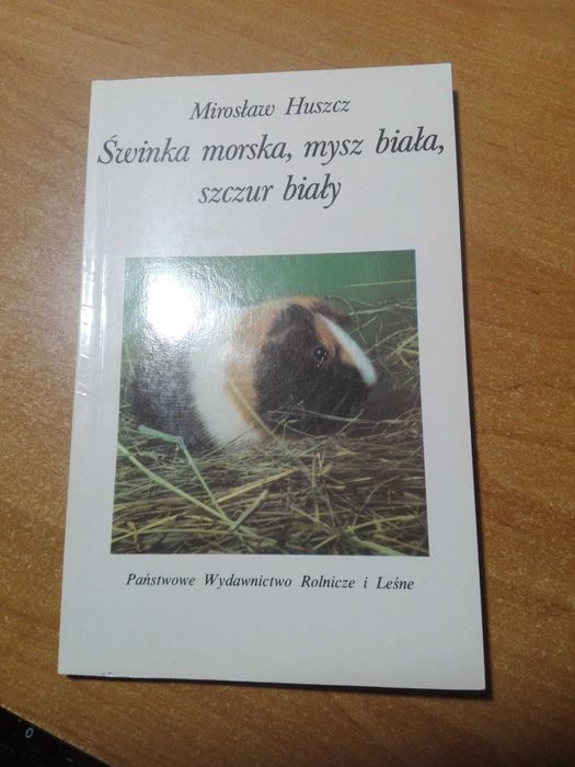 Świnka morska , mysz biała, szczur biały - M. Huszcz