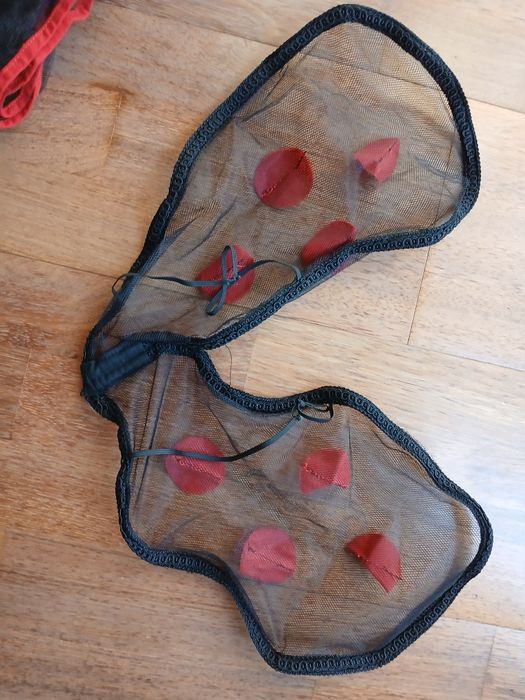 Strój biedronki dla dziecka