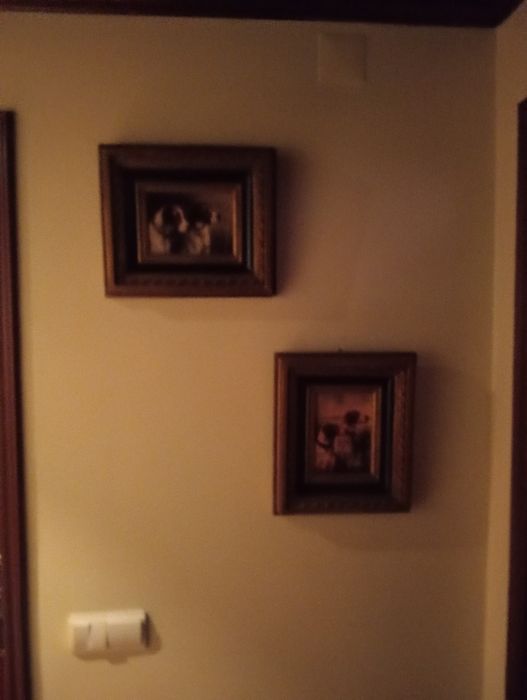 Quadros de cães!