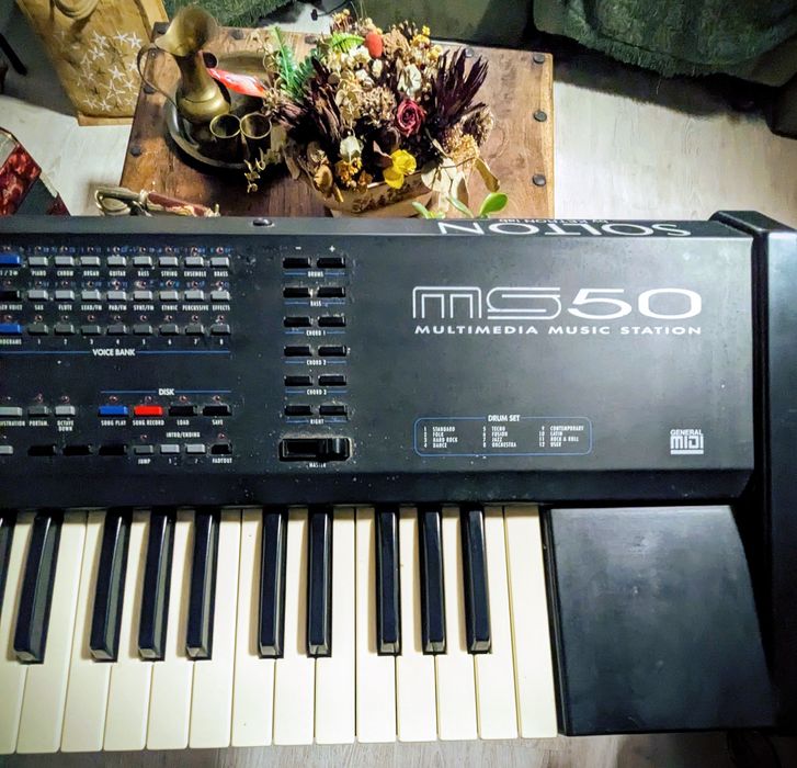Solton  MS50 /by KETRON/PIANO