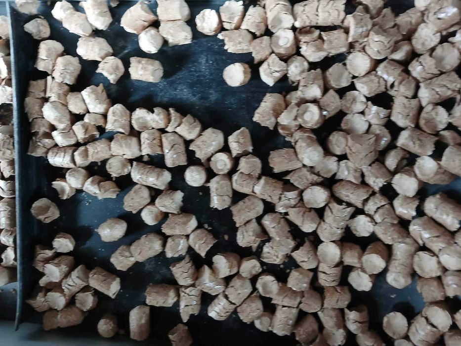 Eko groszek zastępstwo pellet brykiet