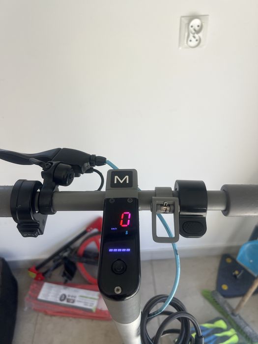 Motus scuti 10 2024