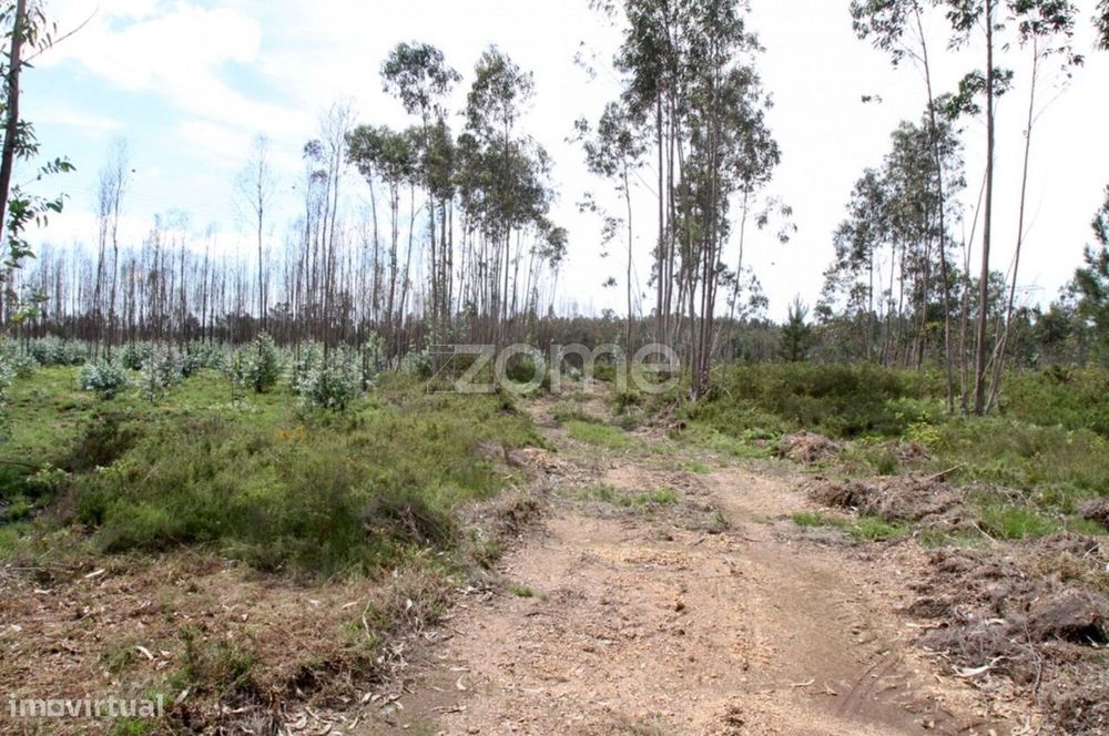 Terreno Rustico junto à A25