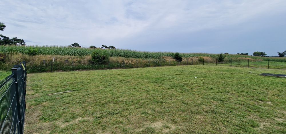 Usługi ogrodnicze koszenie trawy, wertykulacja