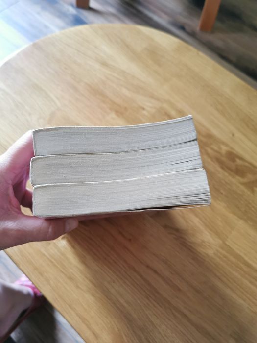 Meagan McKinney Zamek na wrzosowisku, Uzurpator, Księżycowa Dama