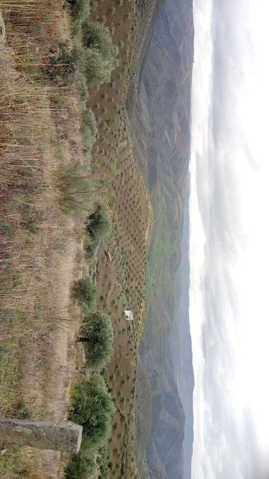 Terreno 15000m2 (1,5h)