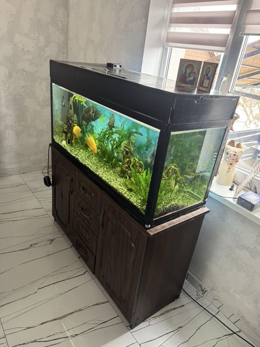 Акваріум ємністю 240л