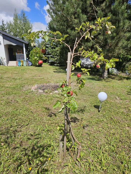 Działka rekreacyjna z domem murowanym