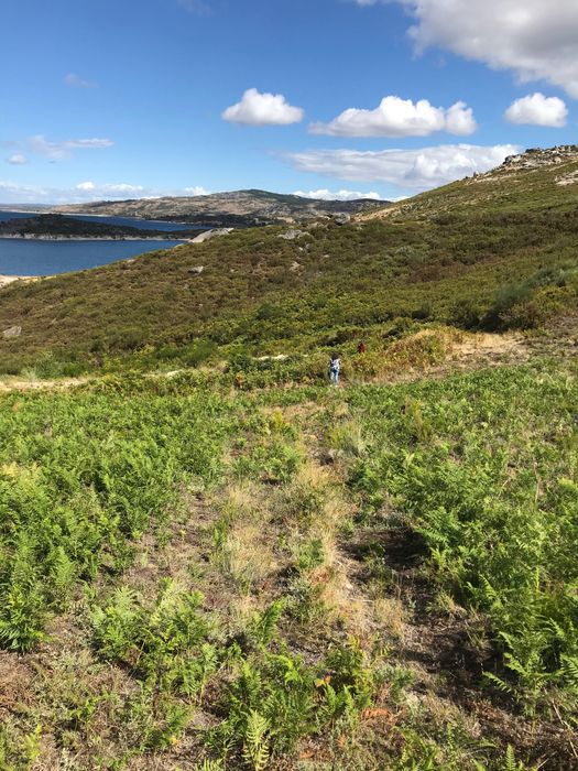 Terreno rústico na berma barragem pisões