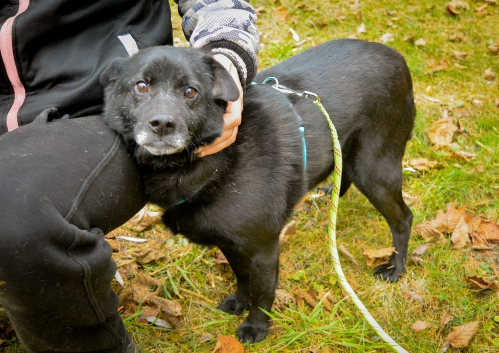 Nikt nie chce mnie pokochać