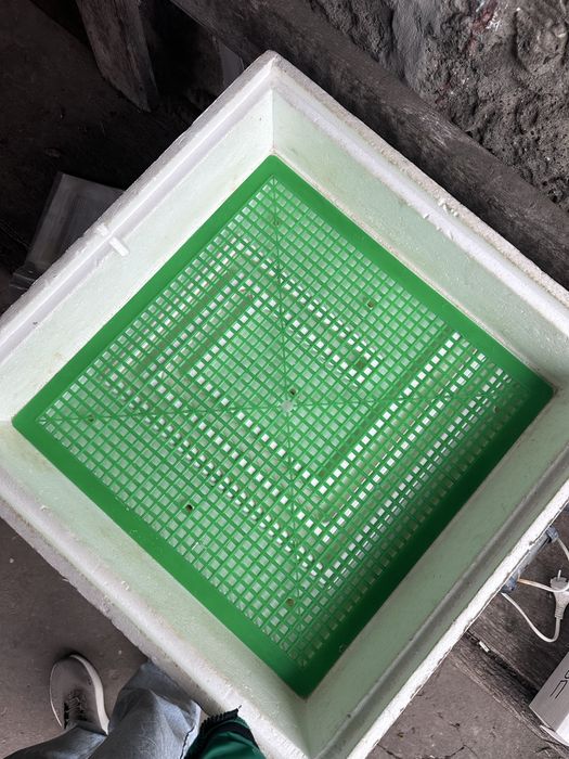 Міні-інкубатор Квочка на 70 яєць