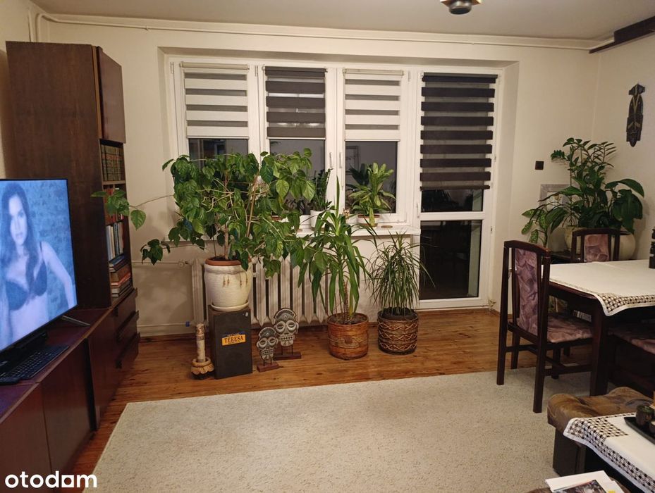 3 pok. 65 m²| balkon |garaż |rozkładowe | osobna kuchnia | 380 tys.