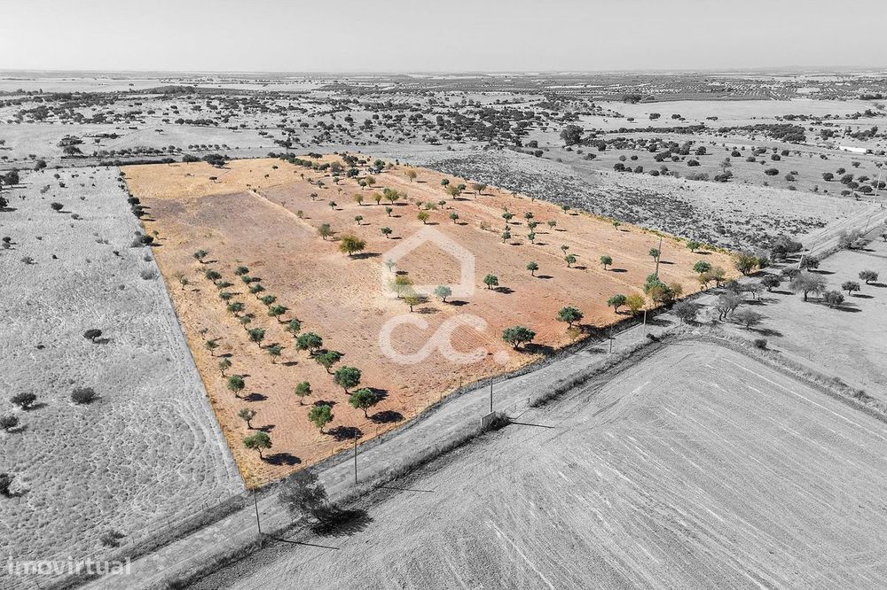 Terreno Rústico de 7,35 ha c para Exploração Agrícola | Mourão, Évora