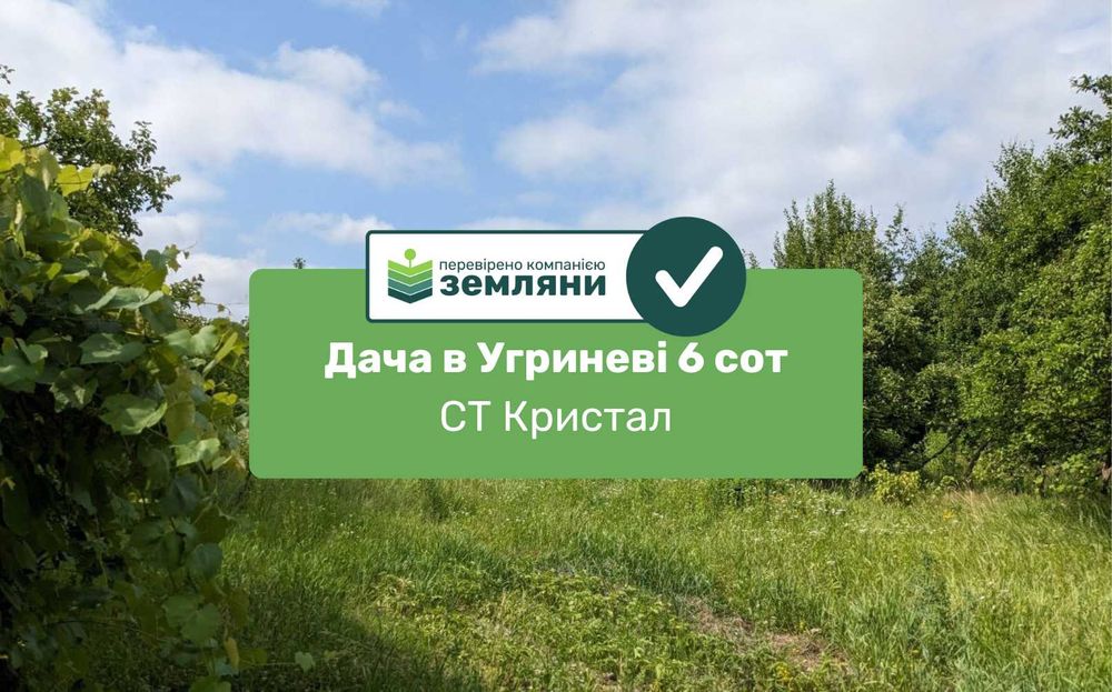 Продаж дачі 6 сот в Угриневі, СТ Кристал (2)