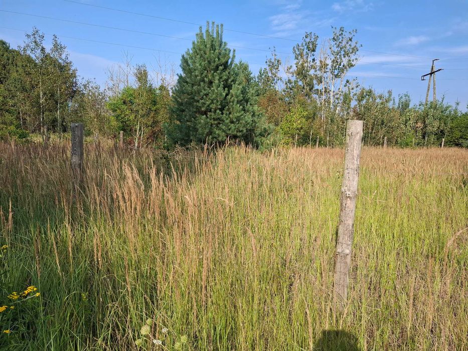 Działka w Łęgach na sprzedaż - Widok 4