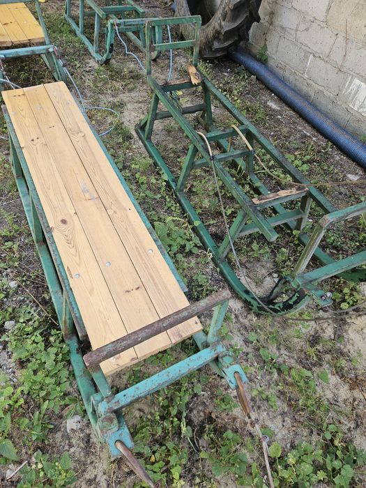 Sanie konne kulig