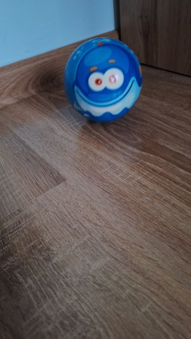 Pilka zmyłka Eppe podwodny świat