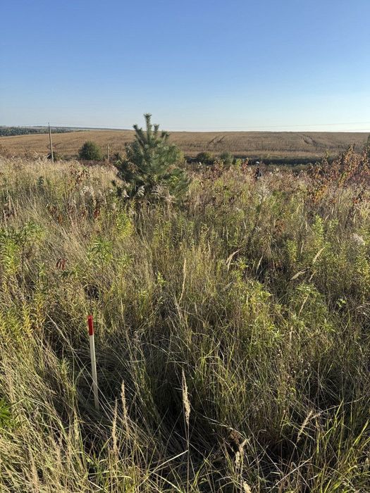 Земельна ділянка 40 сот (с.р. Білокриницька)