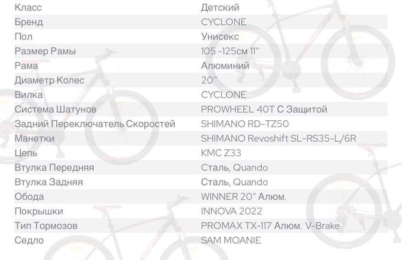 Велосипед CYCLONE 20" VIVA