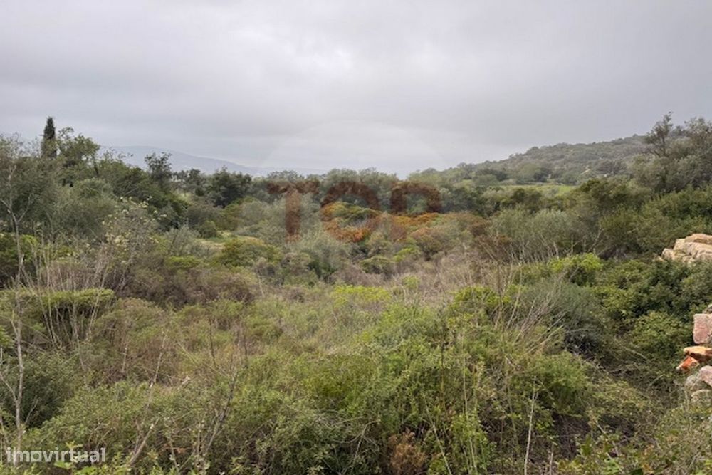Terreno Rustico em Estoi